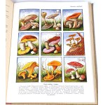 KULTURA A DOMÁCÍ ŽIVOT 1-2 ilustrovaná příručka 1938