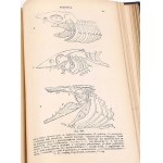 BOAS- PODRĘCZNIK ZOOLOGII 1893 setki rycin