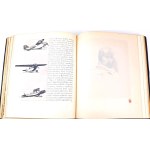 ROMEYKO - POLISH AIRCRAFT édition spéciale 1937, œuvre originale, velours