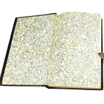 NIEMCEWICZ- ŚPIEWY HISTORYCZNE 1849. Superexlibris z herbem Pilawa Potockich