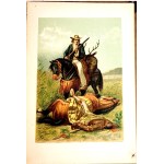 KAWECKA- ON LANDS AND WATERS. Adventures of a ship's boy. Colorful chromolithographs.