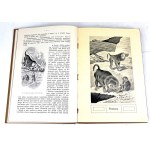 GUSTAWICZ, WYROBEK- ŻYCIE ZWIERZĄT T.1-5 [komplet w 5 wol.], ładny egzemplarz