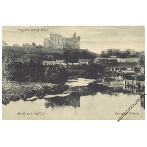 [GOLUB-DOBRZYŃ. Hrad. Řeka Drwęca] Gruß aus Gollub. Burgruine Schloß Golau. Grenzfluß Drewenz. Edice: M. Strzelewicz