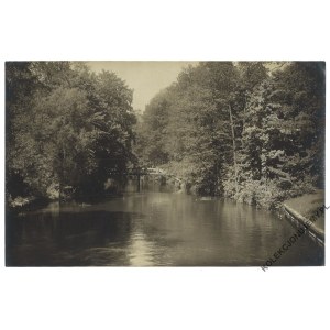 [KALISZ. Park]