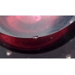 Adam Jablonski - glass paperweight [Signed] - 1980s.