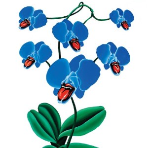 Oksana Reznik, Niebieska orchidea