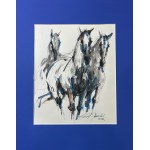 Krzysztof Jarocki, Horses