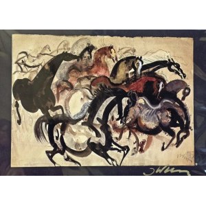 Józef Wilkoń, Studium konia