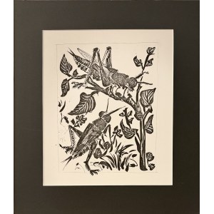 Pablo Picasso (1881-1973), Sauterelle (Konik Polny) z cyklu 31 rycin do tekstów Buffona, 1970