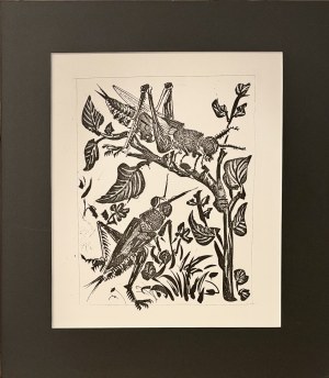 Pablo Picasso (1881-1973), Sauterelle (Konik Polny) z cyklu 31 rycin do tekstów Buffona, 1970