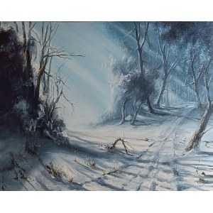 Joanna Burczyc, Pejzaż