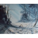 Joanna Burczyc, Landscape