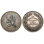 AR Medal b.l. (Cross) - Agricultural Council for the Kingdom of Bohemia