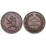 AR Medal b.l. (Cross) - Agricultural Council for the Kingdom of Bohemia