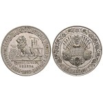 AE medal 1893 for merit, etue