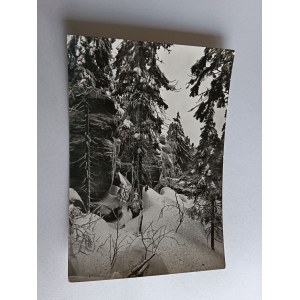 TABLE MOUNTAINS WINTER LANDSCAPE