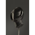 Magdalena Berbeka (b. 1995, Lodz), Head of the Jellyfish, 2025