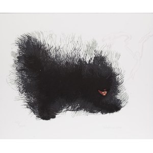 Aleksandra Waliszewska (ur. 1976, Warszawa), Bez tytułu