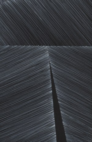 Anna Szprynger (ur. 1982), Bez tytułu, 2013