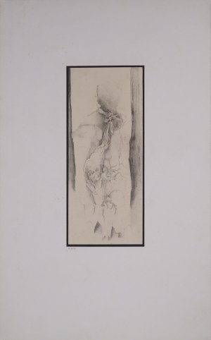 Władysław KOŻUCH (ur. 1952), Początek