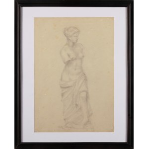 Artist UNLIMITED, Venus de Milo