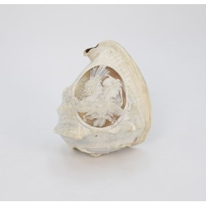 Carved, ornamental shell