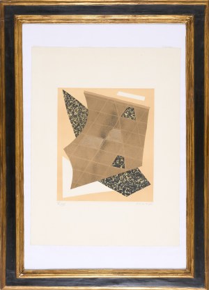 ALBERTO MAGNELLI, I Collages di Magnelli PI.I.