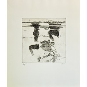 GIUSEPPE ZIGAINA, Lo stagno n.24