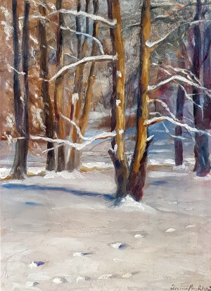 Nowina-Przybylski Wacław