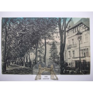 Opole, Oppeln, Wilhelmstal, street, 1914