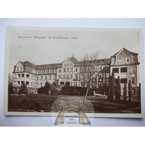 Gryfów Śląski, sanatorium, 1926
