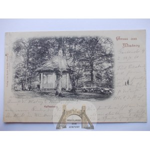 Miedzyzdroje, Misdroy, Kawcza Góra, 1909