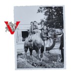 KOP Osowiec, children of KOPist on camel, Rabka Zdrój 1938