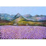 Alicja Kappa, In the Valley - Crocuses - Chocholowska Valley, Tatra Mountains, 2025