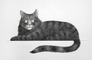 Jacek Gawłowski (1957), KOT