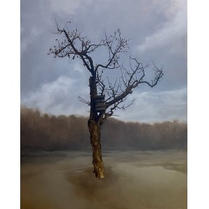 Maciej Gabruś, Sans titre, sans date