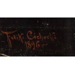 Feliks Cichocki (1861 - 1921), Vocation.