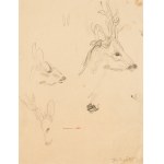 Jozef Mehoffer (1869 - 1946), "Sarenka."