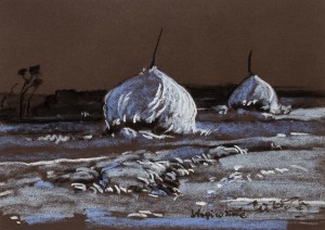 Wiktor Zin (1925 - 2007), 