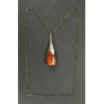 Pendant with amber on a chain, author