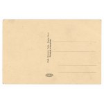 Busko-Zdrój - Central Plant Avenue (123)