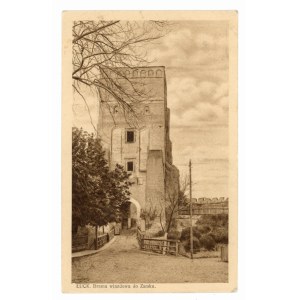 Cancello d'ingresso del castello di Lutsk (141)