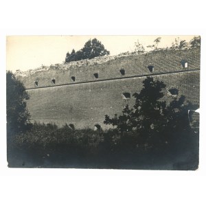 Chelm - Castle walls (162)