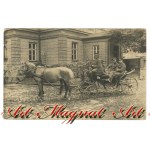 Panevezys - Carriage (428)