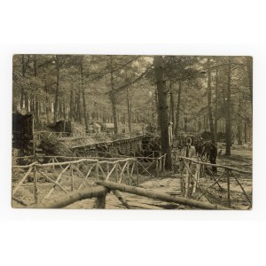 Dubno, Volyn - Fortificazioni forestali dell'esercito austro-ungarico presso Dubno, 1916. (2265)