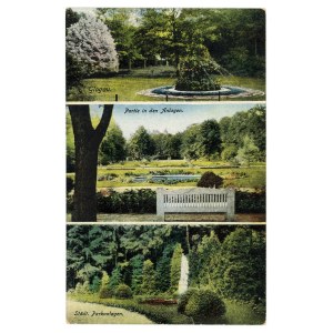 Glogow / Glogau - City Park (920)