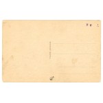 Zaleszczyki - General view (932)