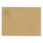 Anin 30.11.45, provisional stamp on card (285)