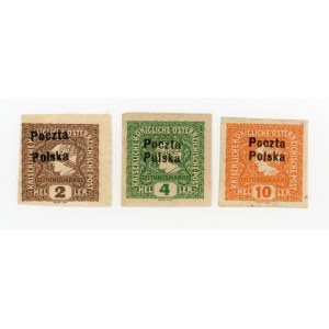 Myslenice, set of 3 stamps with local overprint, 1918. issue III, type A and B. Warranty (314)