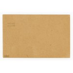 Kalisz, post card with local type 1 overprint, 1918. guaranteed (320)